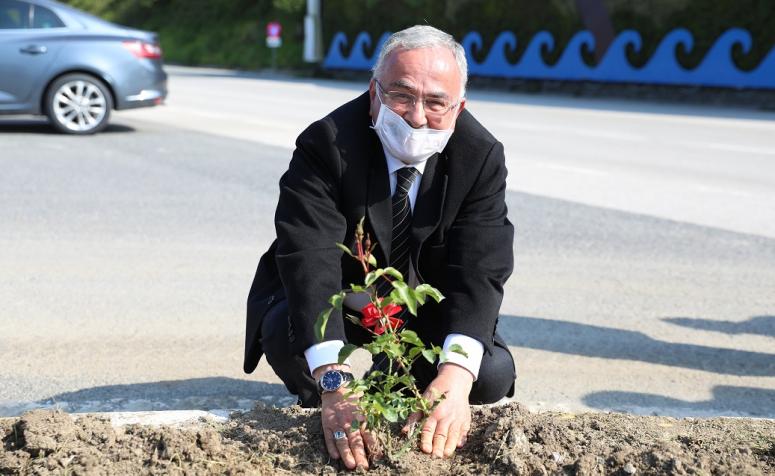 ORDU'DA MAHALLELERE ADINA ÖZGÜ FİDAN DİKİLİYOR