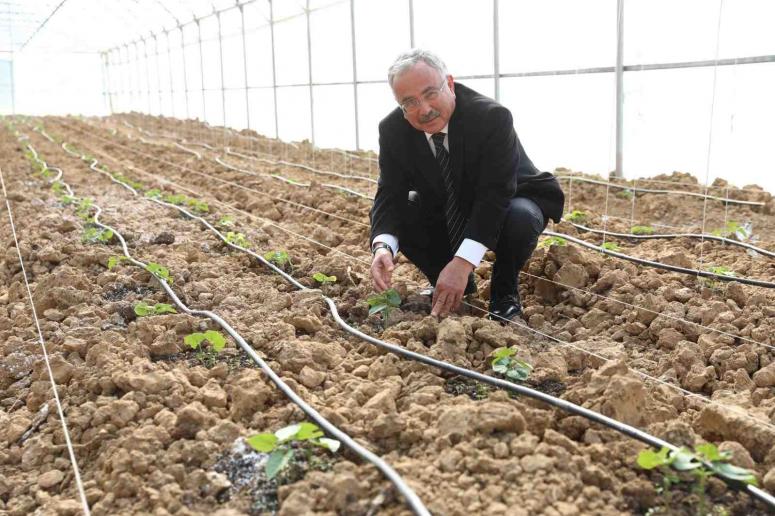 HİLMİ GÜLER'İN TARIM PROJESİ KAZANDIRIYOR