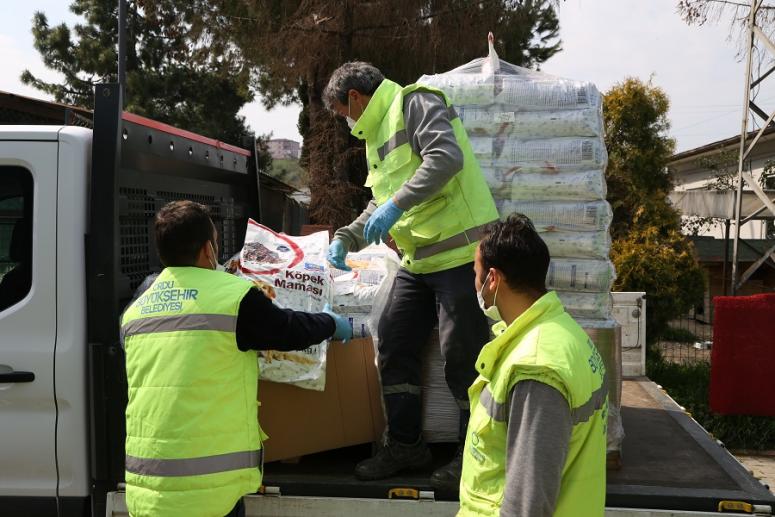 SOKAK HAYVANLARI UNUTULMUYOR