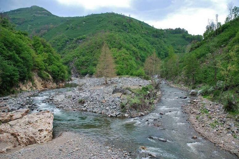 BOLAMAN HAVZASI TÜRKİYE'YE ÖRNEK OLACAK!