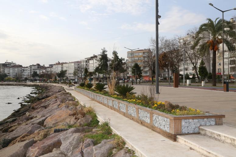 ALTINORDU SAHİLİ YEŞİLLENDİ