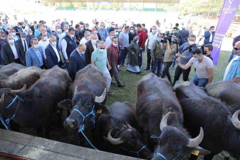 ORDU TARIM VE HAYVANCILIKTA İDDİALI