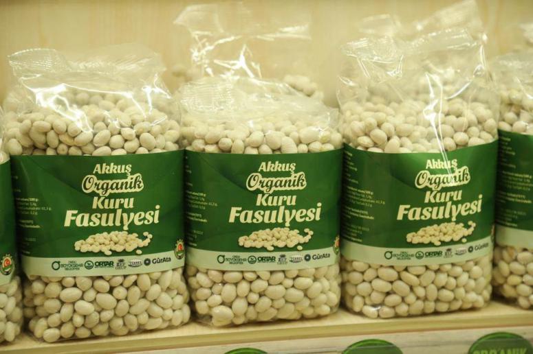 ORGANİK AKKUŞ FASULYESİ EN ÇOK BODRUM’DA SATILDI