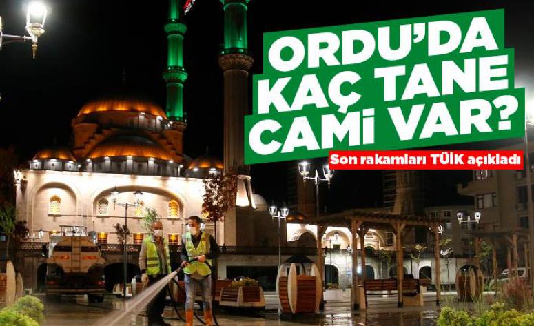 Ordu il genelinde toplam kaç cami var?