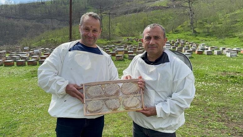 Bolaman Havzası Projesi Kapsamında Arıcılara İlaç Desteğinde Bulunuldu