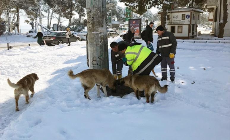 Kar kışta onlar da unutulmadı