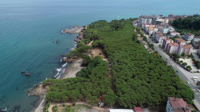 ÇAMLIK’TAKİ ÇALIŞMALAR KAMUOYUNA TANITILDI