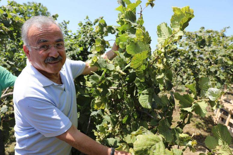 FINDIK ÜRETİCİSİ BU PROJEYİ SEVDİ