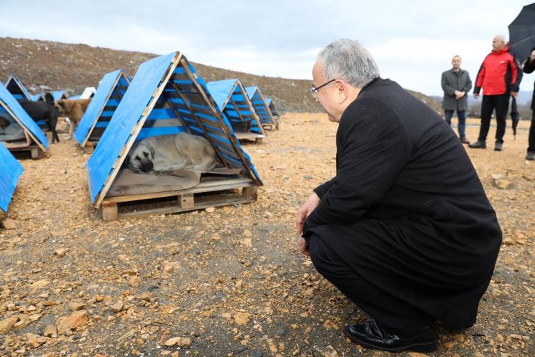 BAŞKAN GÜLER ÜNYE’DE İNCELEMELERDE BULUNDU