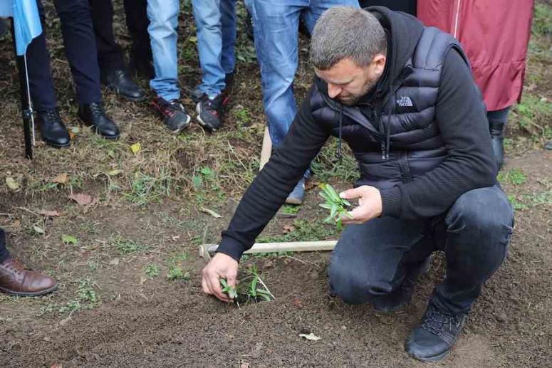SALEP ÜRETİMİ BAŞLIYOR