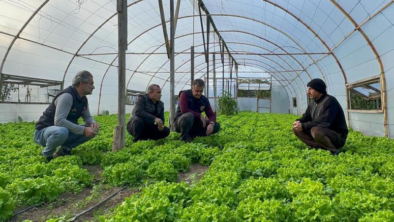 Ordu’da Seracılık Yaygınlaşıyor