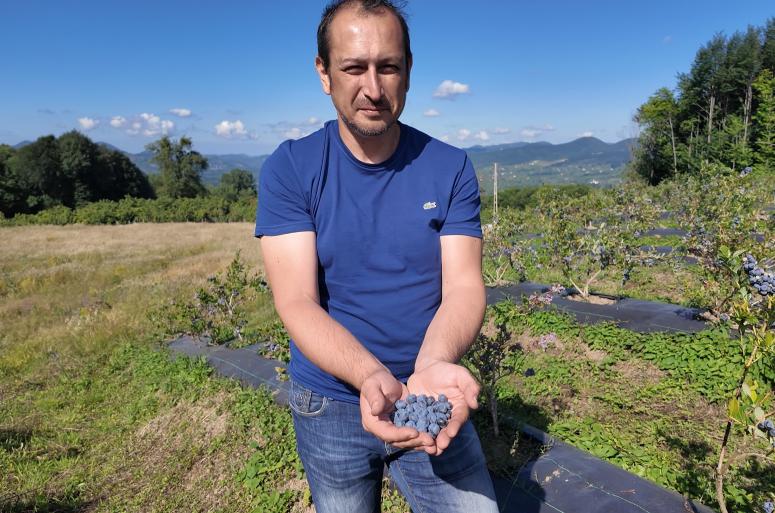 ORDU’NUN TOPRAKLARINDAN BEREKET FIŞKIRIYOR
