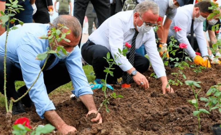 251 şehit için 251 fidan dikildi