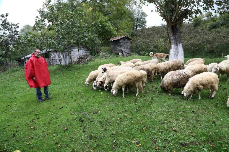 BAŞKAN GÜLER’İN PROJELERİ GELİR KAPISI OLDU