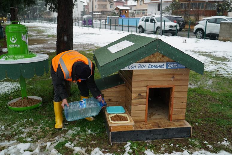 ÂTIL VE KULLANILMAYAN MALZEMELER KEDİ VE KÖPEKLERE YUVA OLUYOR