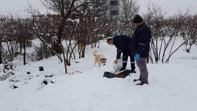 BÜYÜKŞEHİR PATİLİ DOSTLARI YALNIZ BIRAKMADI