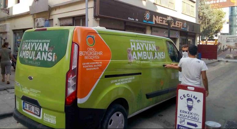 MAHSUR KALAN KEDİYİ HAYVAN AMBULANSI KURTARDI