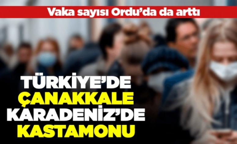 Koronavirüs vakaları Ordu'da artışa geçti