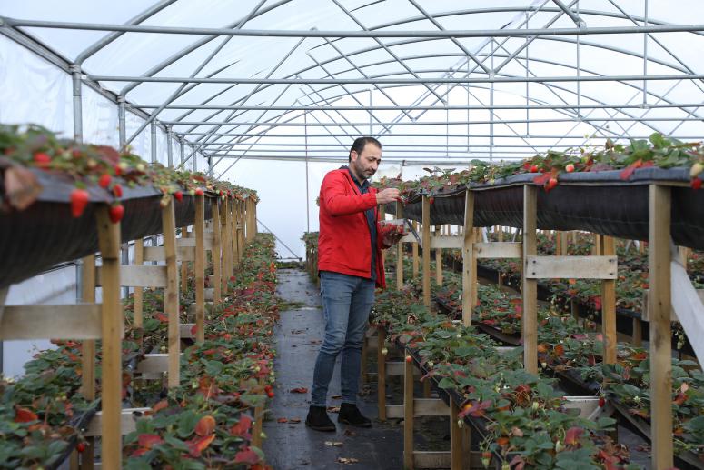 BÜYÜKŞEHİR DESTEK VERDİ, ÜRETİM 4 MEVSİME ÇIKTI
