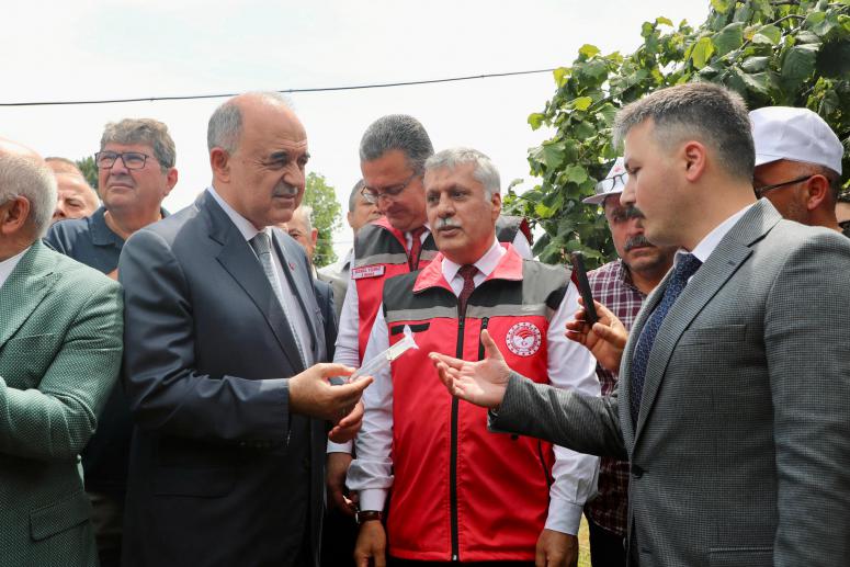 Kahverengi Kokarca İle Mücadele İçin 22 Bin Samuray Arısı Doğaya Salındı