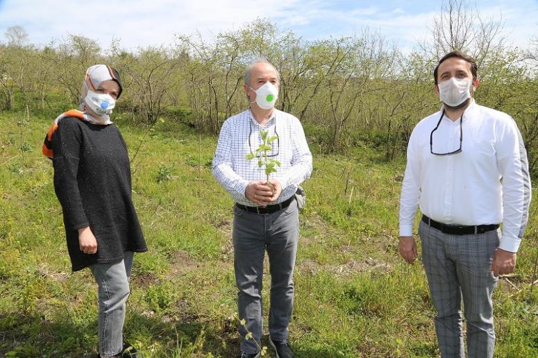 ORTAR “KARA MÜRVER” ÜRETİMİNE BAŞLADI