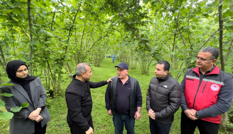Vali Sonel, “Fındıkta Verim ve Kaliteyi Artırmak İçin Zirai Mücadele Önemli”