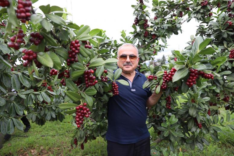 BAŞKAN GÜLER “TARIM BİZİM GİZLİ GÜCÜMÜZ”