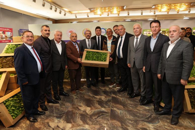 BÜYÜKŞEHİR, 600 BİN ÜCRETSİZ FİDE DAĞITTI