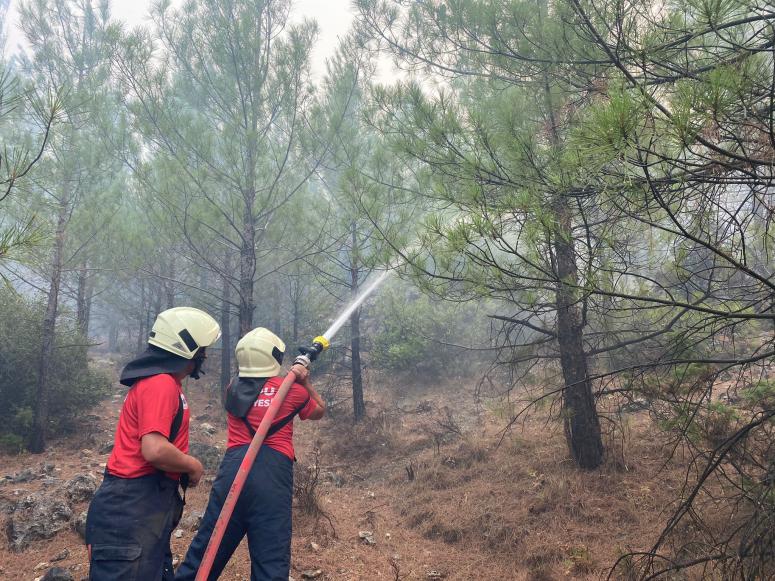 ORDU İTFAİYESİ YANGINLARDA CANLA BAŞLA ÇALIŞIYOR
