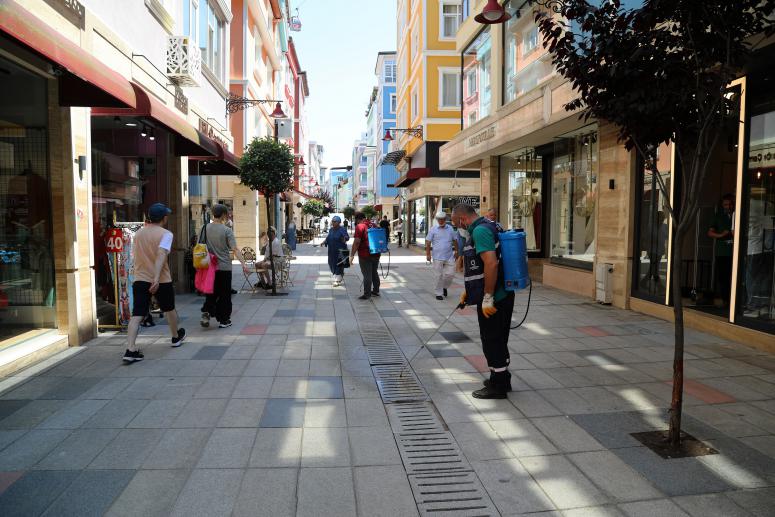 EV VE İŞ YERLERİNDE SALGIN HASTALIK ÖNLEMİ