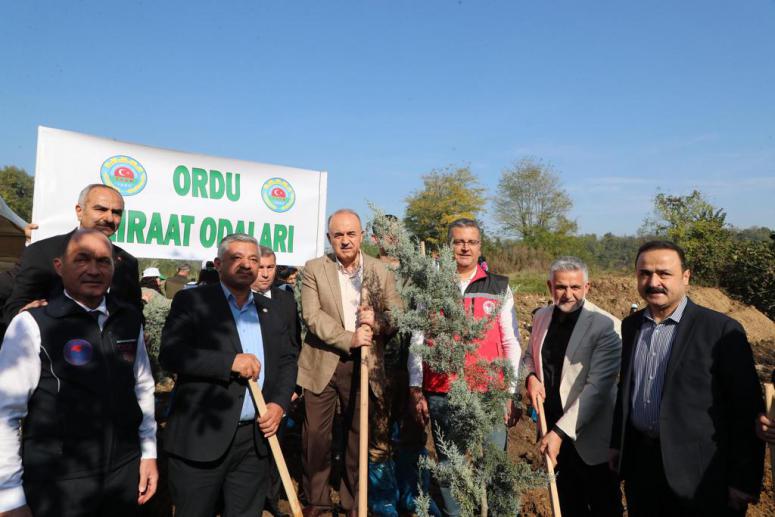 100. Yıl Cumhuriyet Ormanı Fidan Dikimi Etkinliği Yapıldı