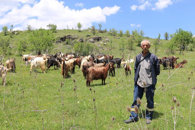 ORDU’DA TARIM VE HAYVANCILIKTA REFORM