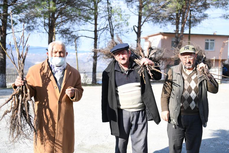 ALTINORDU ŞEHRİN 100. YILINDA 100 BİN FİDANI TOPRAKLA BULUŞTURUYOR
