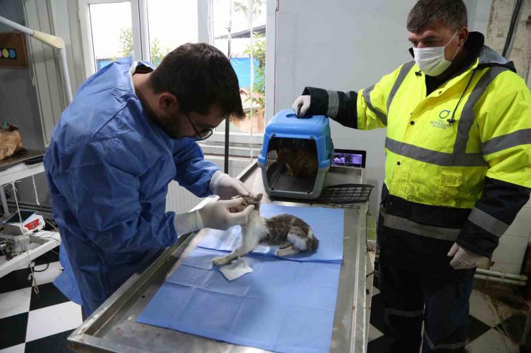 HAYVAN HASTANESİ CAN DOSTLARIN SIĞINAĞI OLDU