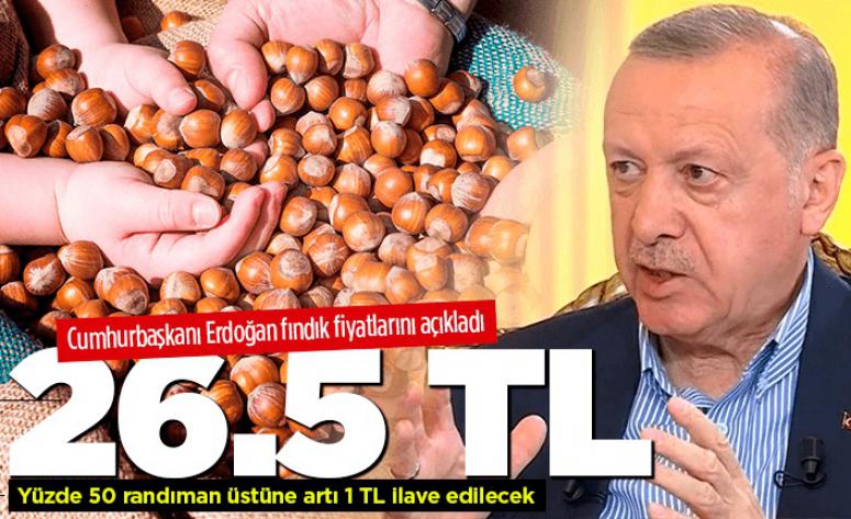 İşte 2021 yılı fındık fiyatları!