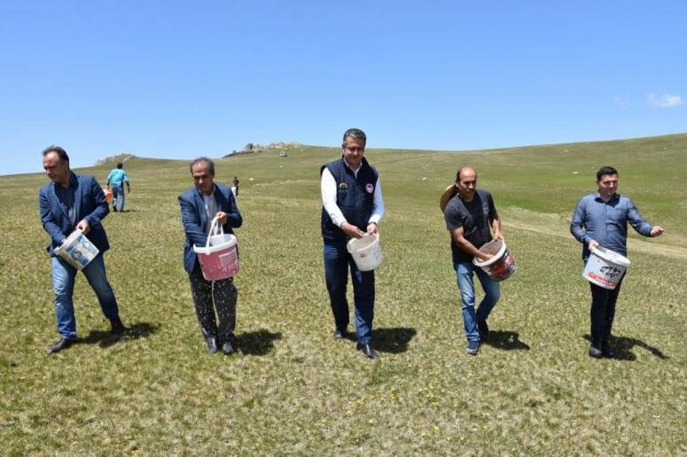 MERALARDA YÜRÜTÜLEN ISLAH ÇALIŞMASI ET VE SÜTÜN KALİTESİNİ ARTIRDI